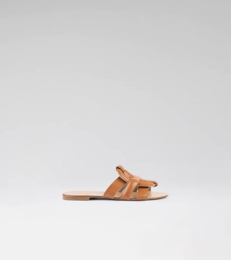  CAMEL