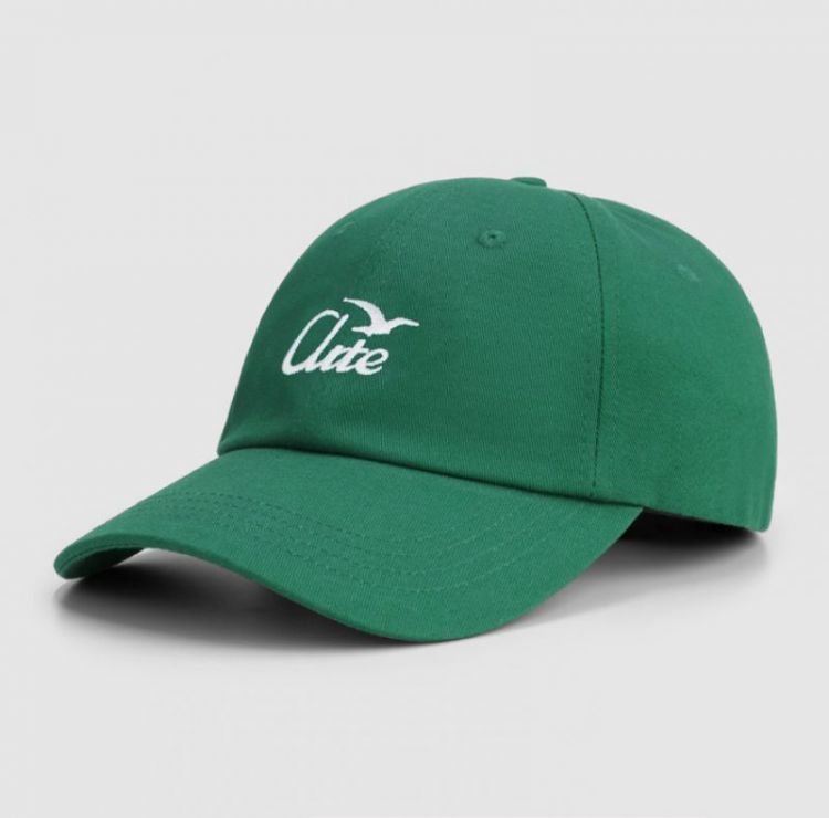 Logo bird cap - Green