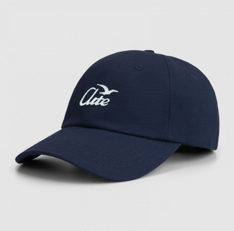 Logo bird cap - Navy