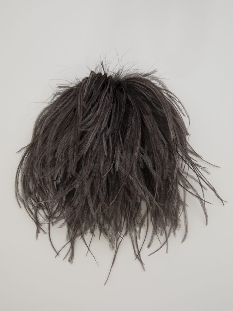 Bégonia - Anthracite