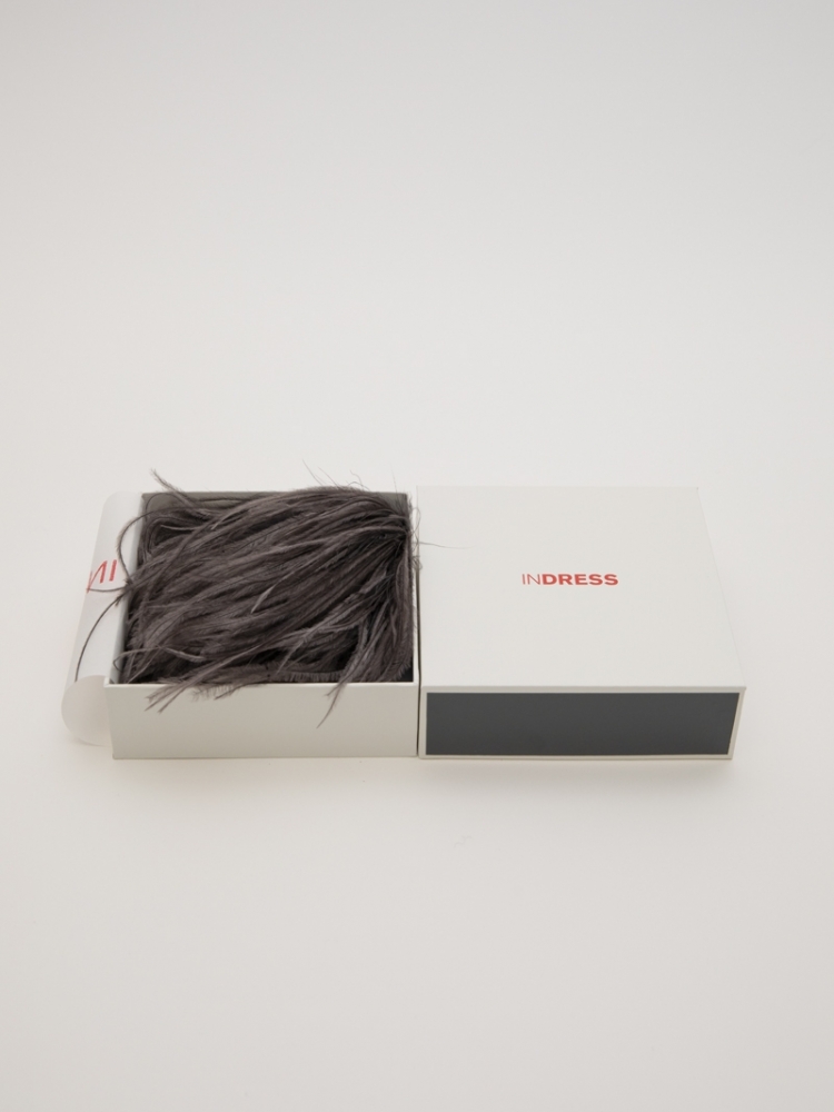 Bégonia - Anthracite