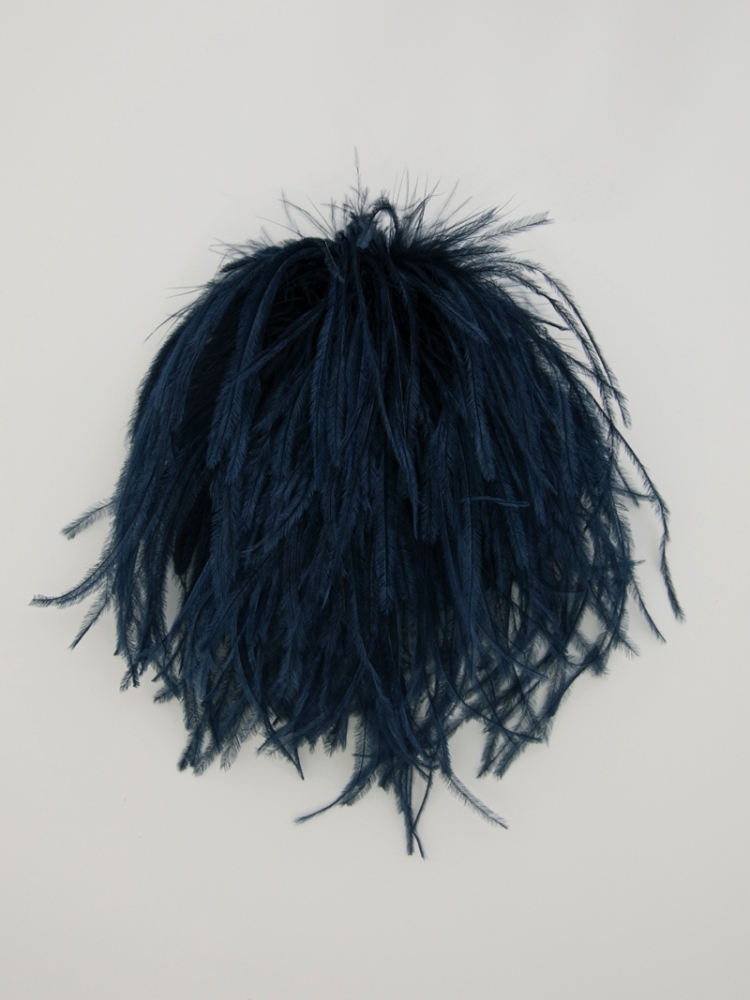 Bégonia - Dark Navy