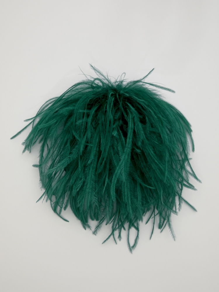 Bégonia - Jade