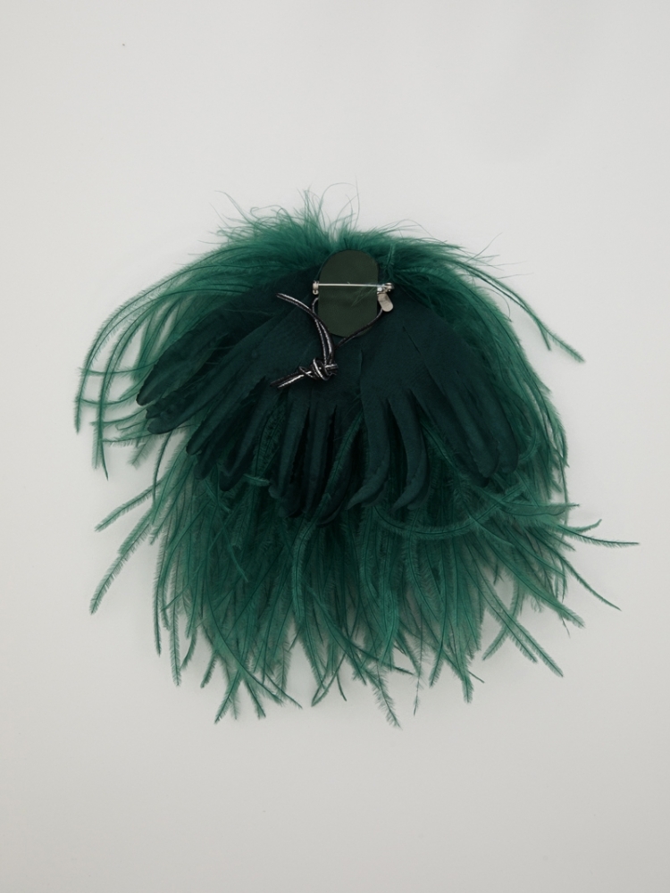 Bégonia - Jade