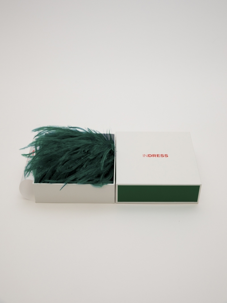 Bégonia - Jade