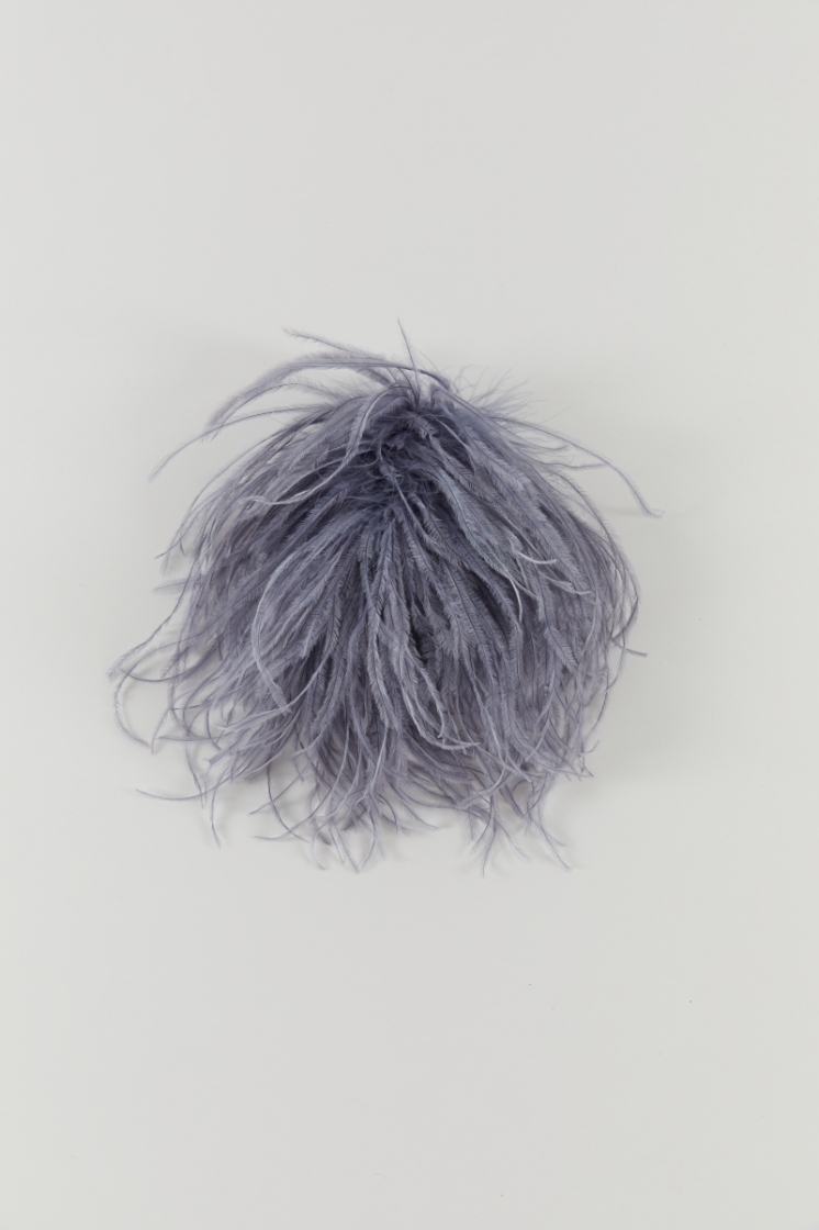 Bégonia - Mauve