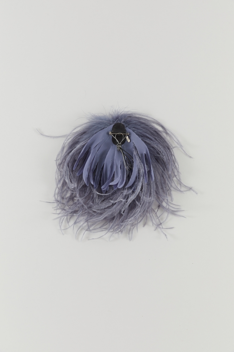 Bégonia - Mauve