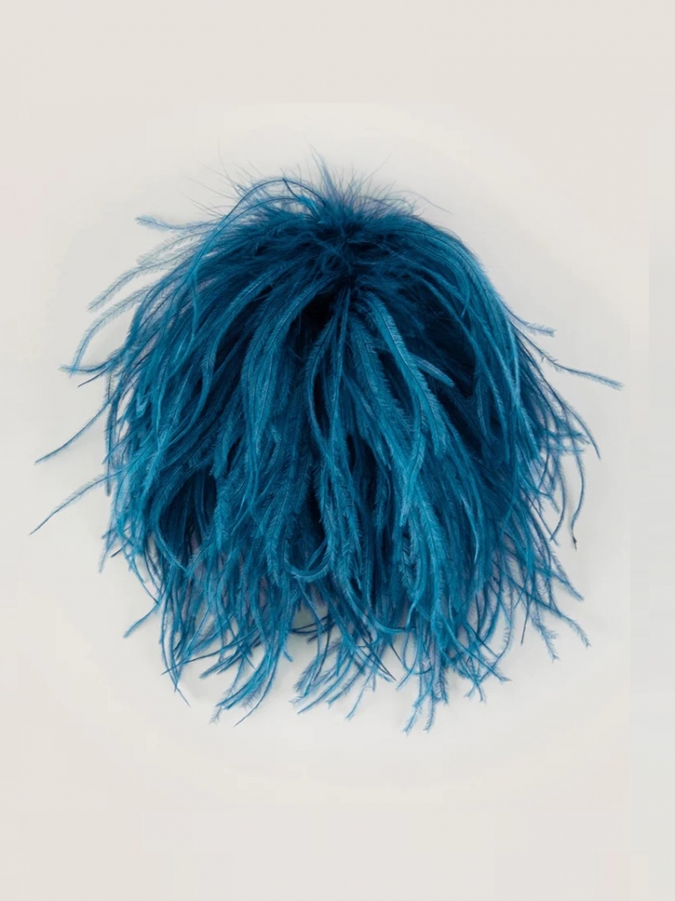 Bégonia - Ocean Blue