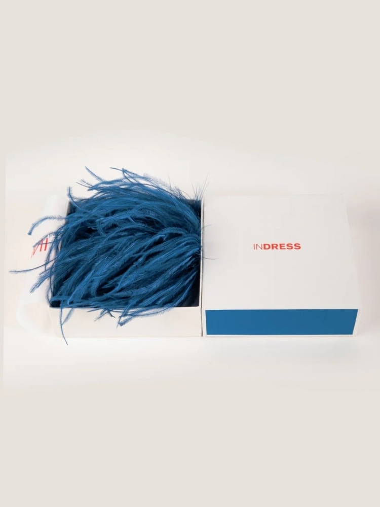 Bégonia - Ocean Blue
