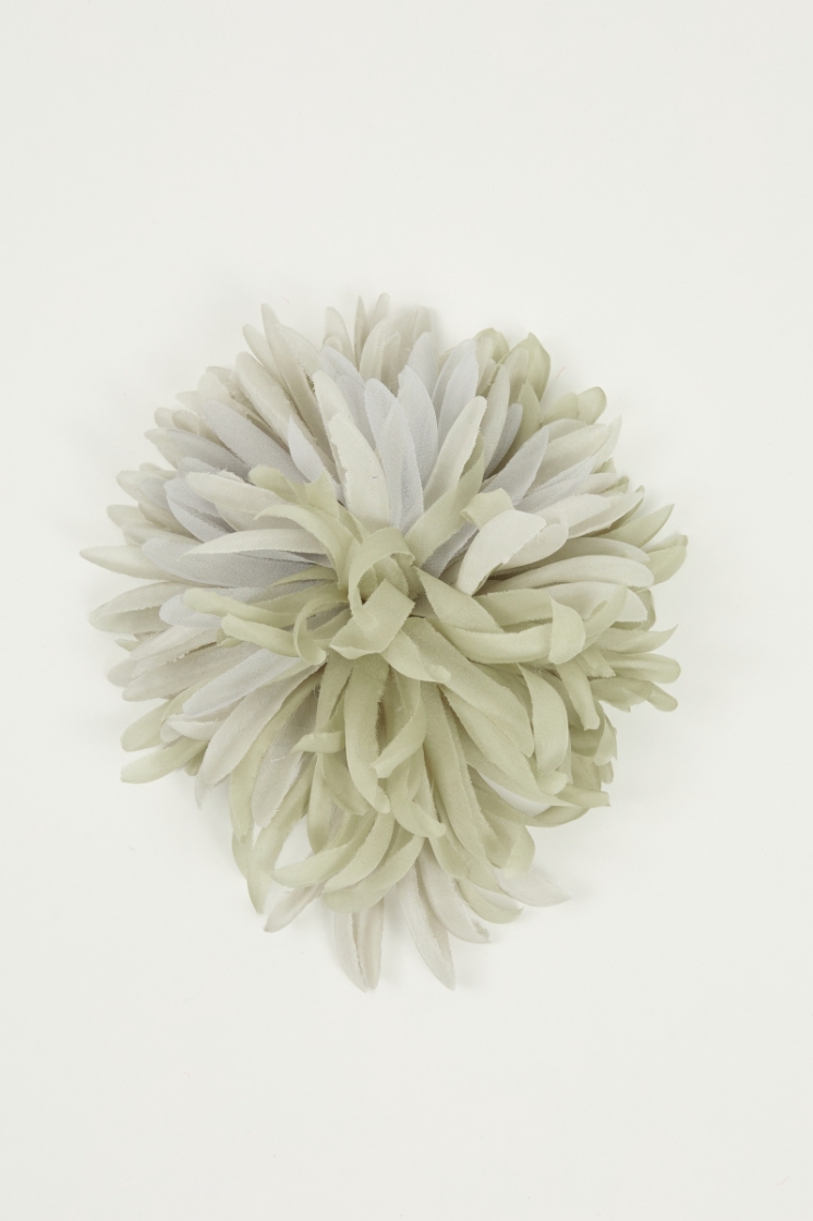 Coquelicot - Almond