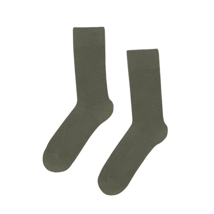 Classic Organic Sock - Dusty Olive