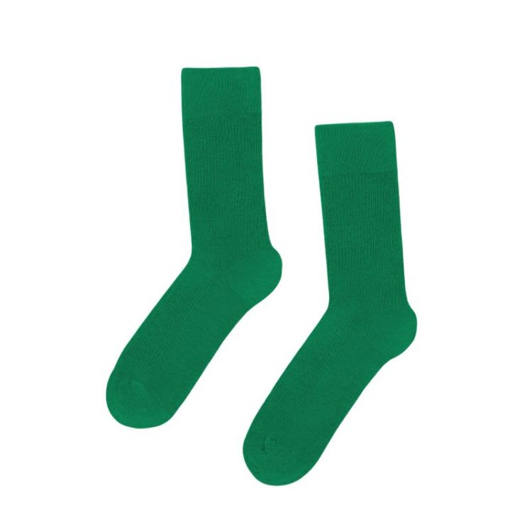 Classic Organic Sock - Kelly Green