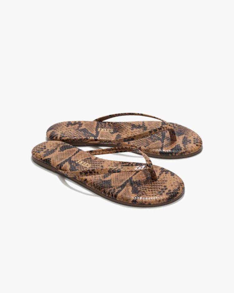 Studio Exotic - Coco Snake