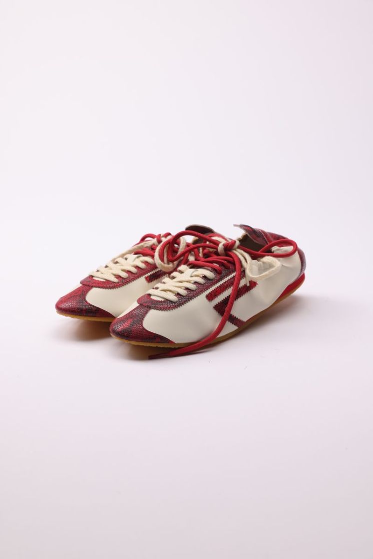 8.01 LION 005 RASPBERRY