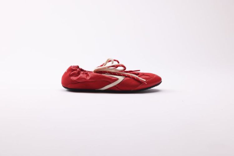8.02 LIZARD 005 CRIMSON LIN