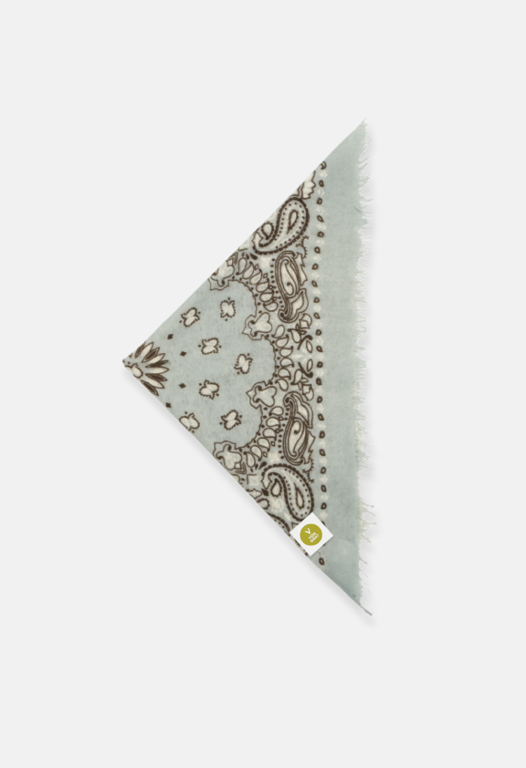 BANDANA CALVINA PAISLEY  L AQUA