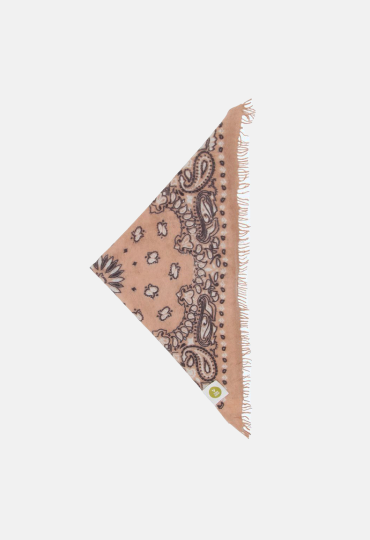 BANDANA CALVINA PAISLEY  W PINK