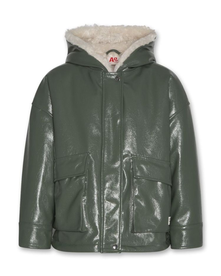 cordi jacket 442 thyme