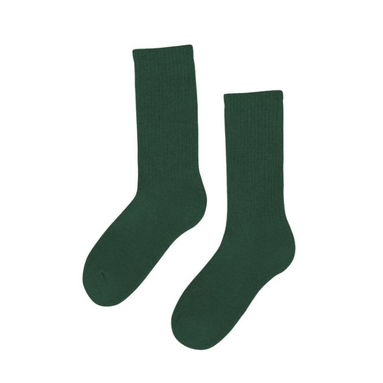 Socks - Emerald Green