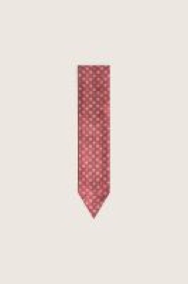 JOURNEY SILK TWILL SCARF 40385 SPICED AP